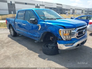 FORD FORD F-150 XLT