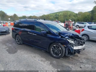 HONDA HONDA ODYSSEY ELITE