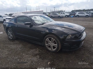 FORD FORD MUSTANG V6 PREMIUM