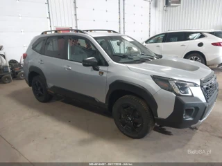 SUBARU SUBARU FORESTER WILDERNESS