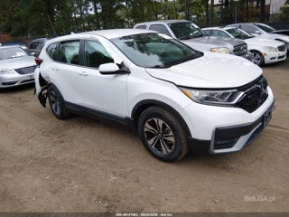 HONDA HONDA CR-V SPECIAL EDITION