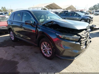 HONDA HONDA CR-V EX-L AWD