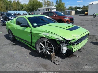 FORD FORD MUSTANG V6