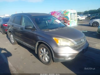 HONDA HONDA CR-V SE