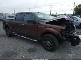 FORD FORD F-150 XLT
