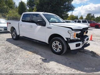 FORD FORD F-150 XLT