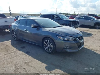 NISSAN NISSAN MAXIMA 3.5 SV