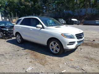 MERCEDES-BENZ MERCEDES-BENZ M-CLASS ML 350