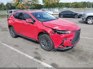 LEXUS LEXUS NX 350 PREMIUM