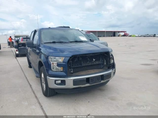 FORD FORD F-150 XLT