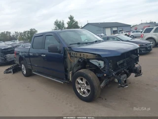FORD FORD F-150 XLT