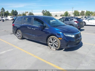 HONDA HONDA ODYSSEY TOURING