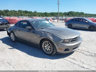 FORD FORD MUSTANG V6 PREMIUM