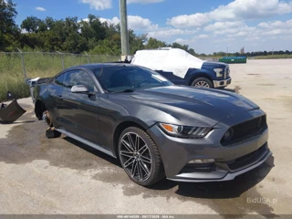 FORD FORD MUSTANG V6
