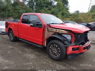 FORD FORD F-150 XLT