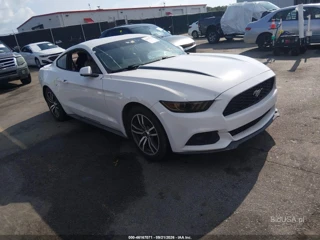 FORD FORD MUSTANG ECOBOOST