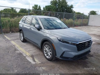 HONDA HONDA CR-V EX-L 2WD
