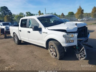 FORD FORD F-150 XLT
