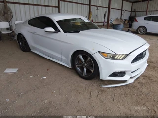 FORD FORD MUSTANG V6