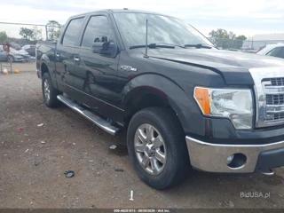 FORD FORD F-150 XLT