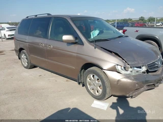 HONDA HONDA ODYSSEY EX-L