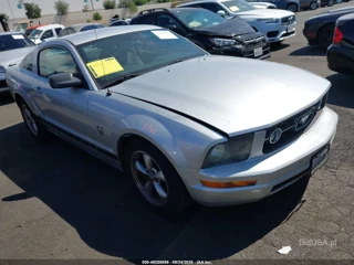 FORD FORD MUSTANG V6/V6 PREMIUM