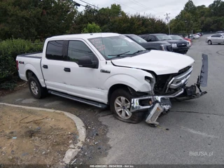 FORD FORD F-150 XLT