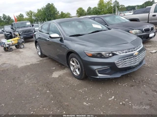CHEVROLET CHEVROLET MALIBU LS