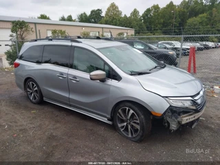 HONDA HONDA ODYSSEY ELITE