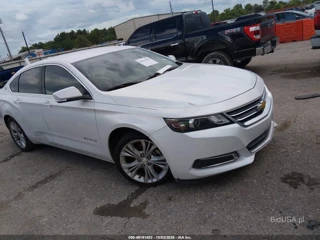 CHEVROLET CHEVROLET IMPALA 1LT