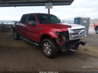 FORD FORD F-150 XLT