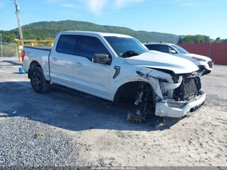 FORD FORD F-150 XLT