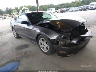 FORD FORD MUSTANG V6