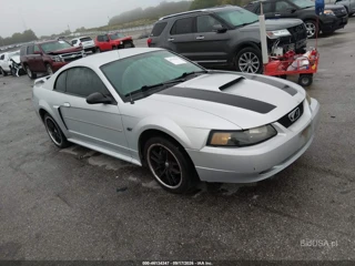 FORD FORD MUSTANG GT