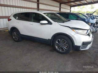 HONDA HONDA CR-V EX