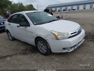 FORD FORD FOCUS SE