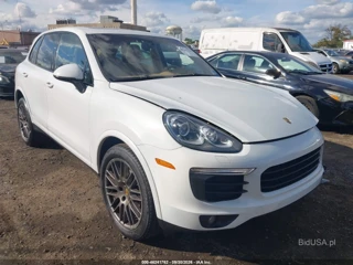 PORSCHE PORSCHE CAYENNE PLATINUM EDITION