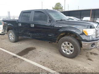 FORD FORD F-150 XLT