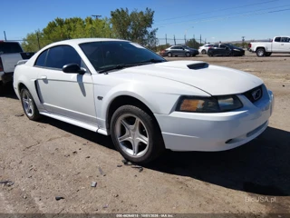FORD FORD MUSTANG GT