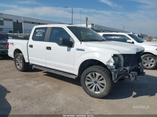 FORD FORD F-150 KING RANCH/LARIAT/PLATINUM/XL/XLT