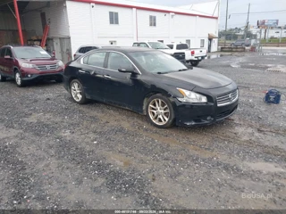 NISSAN NISSAN MAXIMA 3.5 SV