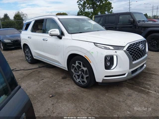 HYUNDAI HYUNDAI PALISADE CALLIGRAPHY