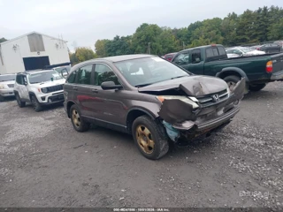 HONDA HONDA CR-V LX