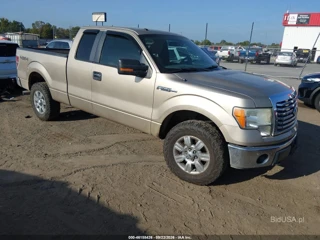 FORD FORD F-150 XLT