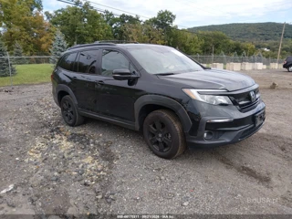 HONDA HONDA PILOT TRAILSPORT