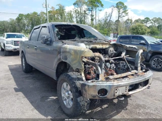 FORD FORD F-150 XLT