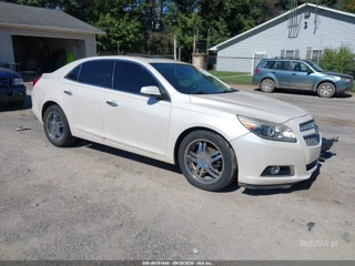 CHEVROLET CHEVROLET MALIBU 1LZ