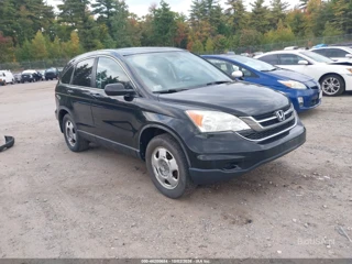 HONDA HONDA CR-V EX