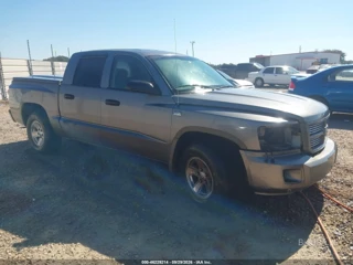 DODGE DODGE DAKOTA SXT