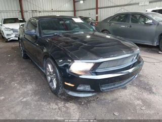 FORD FORD MUSTANG V6 PREMIUM